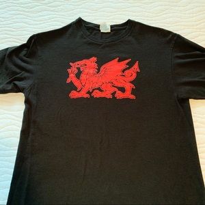 Mens M welsh dragon t-shirt.